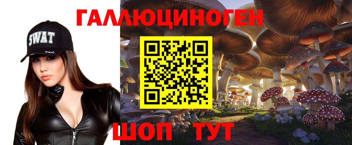 Артём  Псилоцибиновые грибы Cubensis  наркошоп  Вход с VPN 